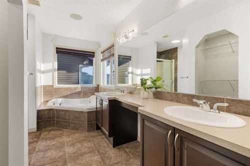21 Panamount Row Nw, Calgary, AB - Indoor Photo Showing Bathroom