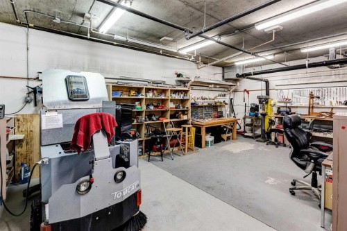 201-223 Tuscany Springs Boulevard Nw, Calgary, AB - Indoor Photo Showing Garage