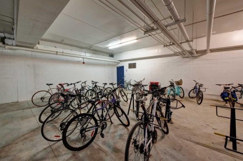 606-8880 Horton Road Sw, Calgary, AB - Indoor Photo Showing Garage