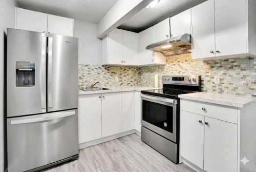9214 Saddlebrook Drive Ne, Calgary, AB - Indoor Photo Showing Kitchen With Upgraded Kitchen