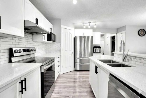 9214 Saddlebrook Drive Ne, Calgary, AB - Indoor Photo Showing Kitchen With Double Sink With Upgraded Kitchen