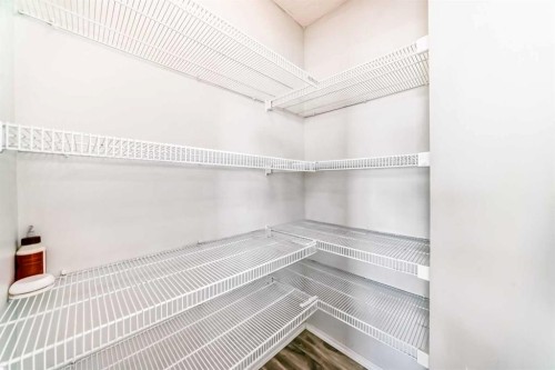 120 Springmere Grove, Chestermere, AB - Indoor With Storage