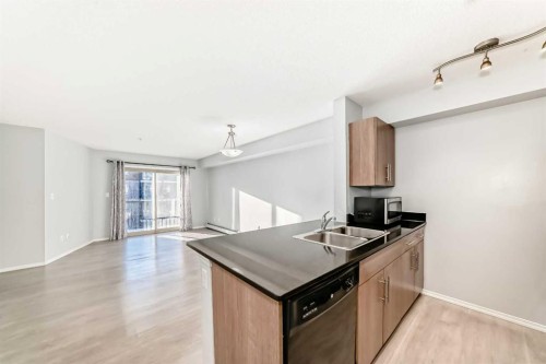321-7110 80 Avenue Ne, Calgary, AB - Indoor Photo Showing Kitchen With Double Sink