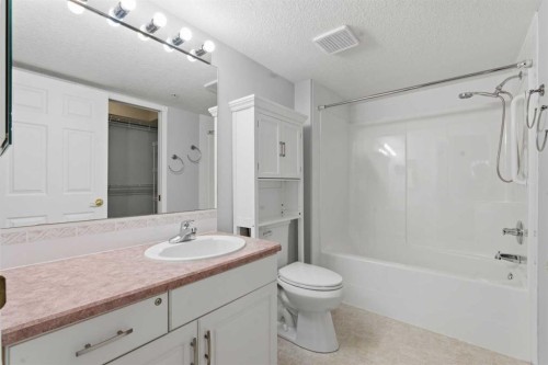 358-8535 Bonaventure Drive Se, Calgary, AB - Indoor Photo Showing Bathroom