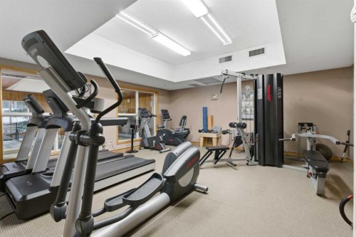 358-8535 Bonaventure Drive Se, Calgary, AB - Indoor Photo Showing Gym Room