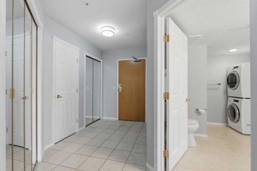 358-8535 Bonaventure Drive Se, Calgary, AB - Indoor Photo Showing Laundry Room