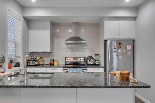 425 Saddlemont Boulevard Ne, Calgary, AB - Indoor Photo Showing Kitchen With Upgraded Kitchen