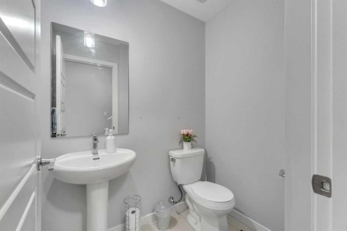 425 Saddlemont Boulevard Ne, Calgary, AB - Indoor Photo Showing Bathroom