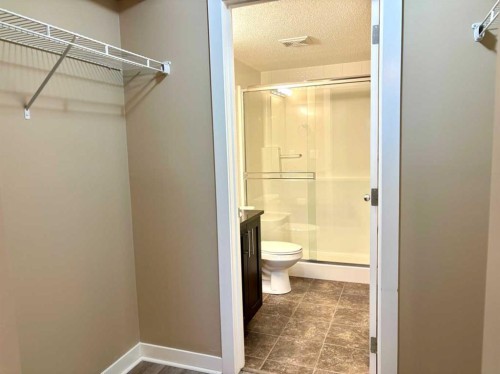 1112-81 Legacy Boulevard Se, Calgary, AB - Indoor Photo Showing Bathroom