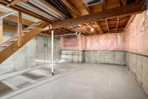 69 Castlebrook Way Ne, Calgary, AB - Indoor Photo Showing Basement
