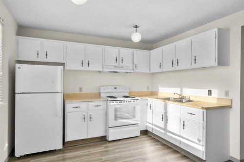 69 Castlebrook Way Ne, Calgary, AB - Indoor Photo Showing Kitchen With Double Sink