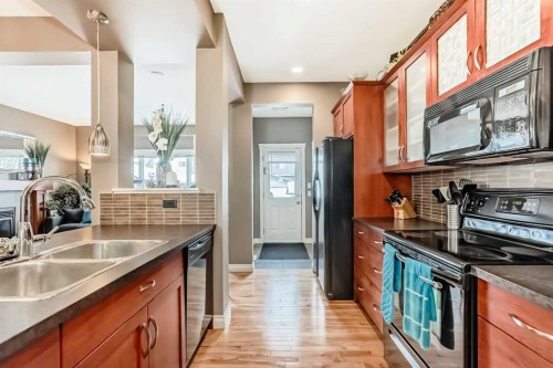 266 Copperstone Circle Se, Calgary, AB - Indoor Photo Showing Kitchen With Double Sink