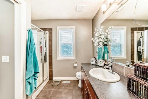 266 Copperstone Circle Se, Calgary, AB - Indoor Photo Showing Bathroom
