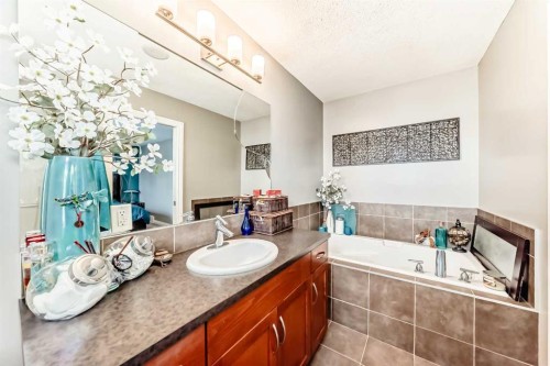 266 Copperstone Circle Se, Calgary, AB - Indoor Photo Showing Bathroom