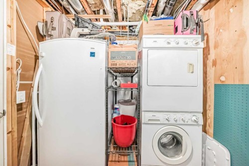 266 Copperstone Circle Se, Calgary, AB - Indoor Photo Showing Laundry Room