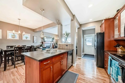 266 Copperstone Circle Se, Calgary, AB - Indoor Photo Showing Kitchen With Double Sink
