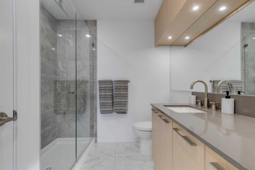 230-88 9 Street Ne, Calgary, AB - Indoor Photo Showing Bathroom