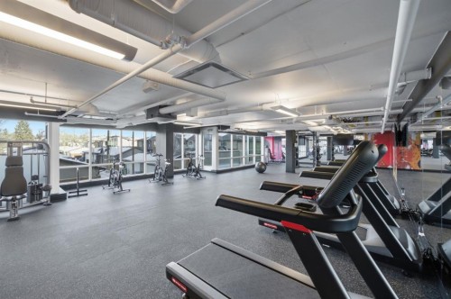 740-110 18A Street Nw, Calgary, AB - Indoor Photo Showing Gym Room