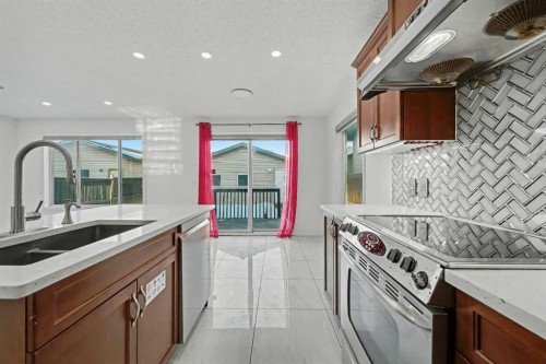 31 Skyview Springs Crescent Ne, Calgary, AB - Indoor Photo Showing Kitchen With Double Sink With Upgraded Kitchen