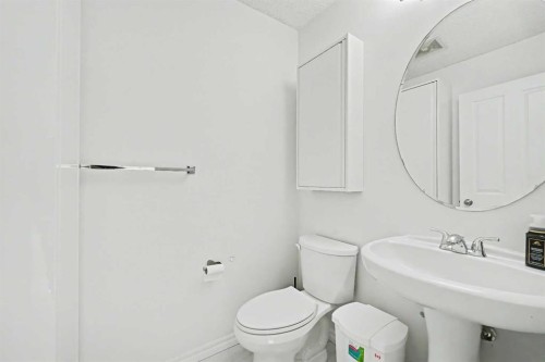 31 Skyview Springs Crescent Ne, Calgary, AB - Indoor Photo Showing Bathroom