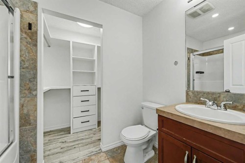 31 Skyview Springs Crescent Ne, Calgary, AB - Indoor Photo Showing Bathroom