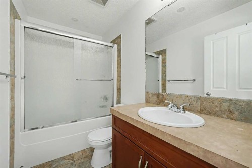 31 Skyview Springs Crescent Ne, Calgary, AB - Indoor Photo Showing Bathroom