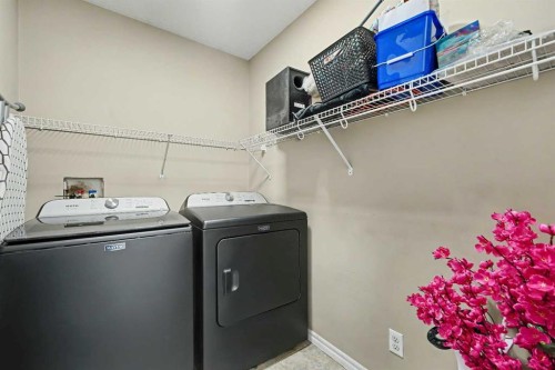 31 Skyview Springs Crescent Ne, Calgary, AB - Indoor Photo Showing Laundry Room
