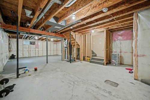 31 Skyview Springs Crescent Ne, Calgary, AB - Indoor Photo Showing Basement