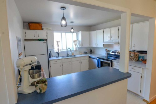 8416 Centre Street Ne, Calgary, AB - Indoor Photo Showing Kitchen With Double Sink