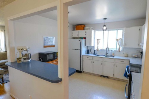 8416 Centre Street Ne, Calgary, AB - Indoor Photo Showing Kitchen With Double Sink