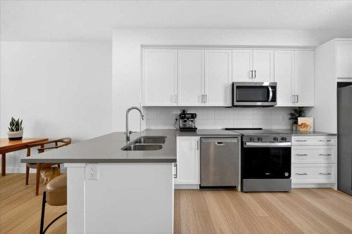 304-437 Alpine Avenue Sw, Calgary, AB - Indoor Photo Showing Kitchen With Double Sink