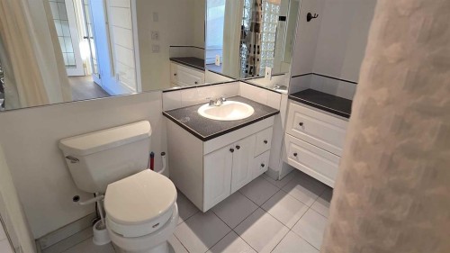 309-738 3 Avenue Sw, Calgary, AB - Indoor Photo Showing Bathroom