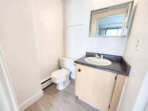 423 3 Avenue Ne, Calgary, AB - Indoor Photo Showing Bathroom
