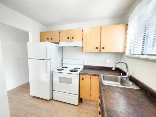 423 3 Avenue Ne, Calgary, AB - Indoor Photo Showing Kitchen
