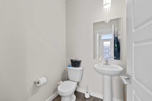 134 Skyview Circle Ne, Calgary, AB - Indoor Photo Showing Bathroom