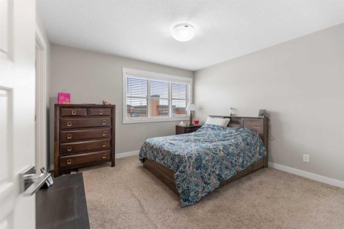 134 Skyview Circle Ne, Calgary, AB - Indoor Photo Showing Bedroom