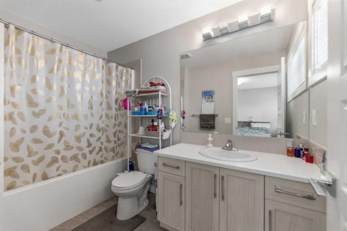 134 Skyview Circle Ne, Calgary, AB - Indoor Photo Showing Bathroom