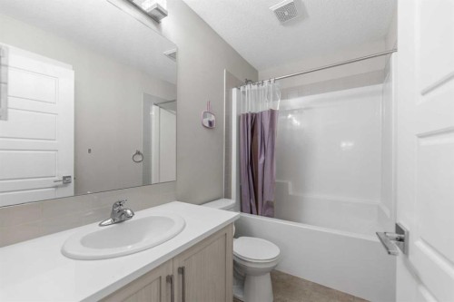 134 Skyview Circle Ne, Calgary, AB - Indoor Photo Showing Bathroom