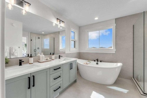 267 Kinniburgh Loop, Chestermere, AB - Indoor Photo Showing Bathroom