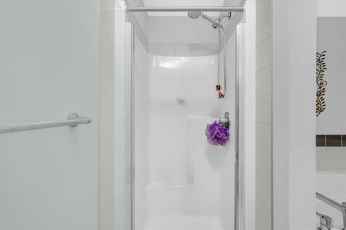 84 Nolanhurst Heights Nw, Calgary, AB - Indoor Photo Showing Bathroom