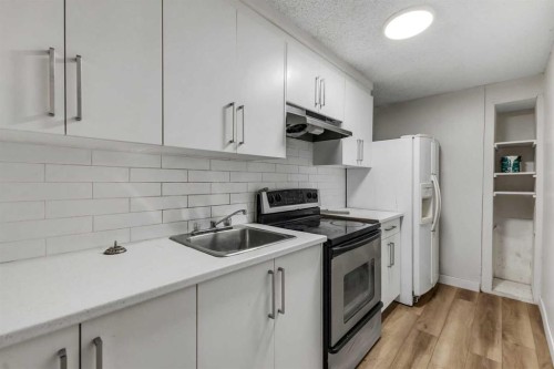 224 Whitworth Way Ne, Calgary, AB - Indoor Photo Showing Kitchen With Upgraded Kitchen
