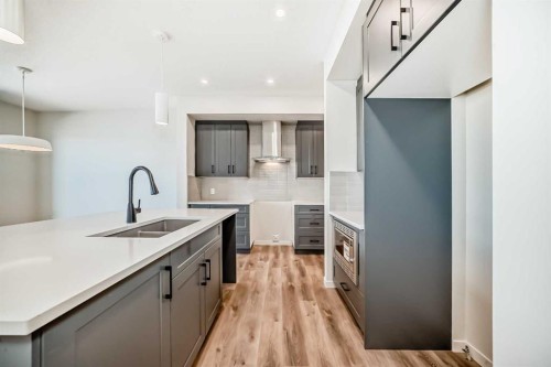 91 Bartlett Crescent Se, Calgary, AB - Indoor Photo Showing Kitchen With Double Sink With Upgraded Kitchen