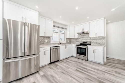 623 Madeira Drive Ne, Calgary, AB - Indoor Photo Showing Kitchen With Stainless Steel Kitchen With Upgraded Kitchen
