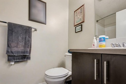 3309-73 Erin Woods Court Se, Calgary, AB - Indoor Photo Showing Bathroom