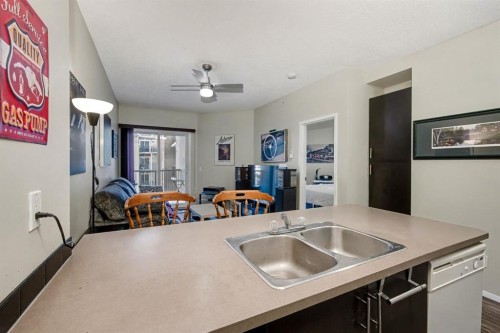3309-73 Erin Woods Court Se, Calgary, AB - Indoor Photo Showing Kitchen With Double Sink