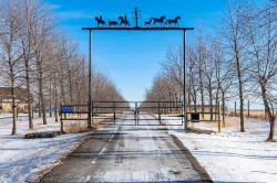 373108 48 Street WEST Rural Foothills County, AB T1S 6B9