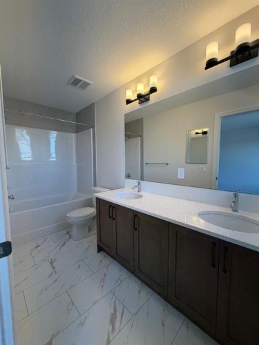 90 Homestead Circle Ne, Calgary, AB - Indoor Photo Showing Bathroom