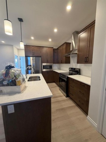 90 Homestead Circle Ne, Calgary, AB - Indoor Photo Showing Kitchen With Double Sink With Upgraded Kitchen