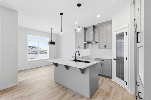 170 Herron Way Ne, Calgary, AB - Indoor Photo Showing Kitchen With Upgraded Kitchen