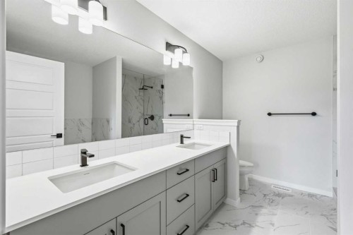 170 Herron Way Ne, Calgary, AB - Indoor Photo Showing Bathroom